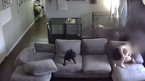 Texas Boy, 9, Ducks For Cover As Bullets Smash Through Window: Horrifying Video | Watch