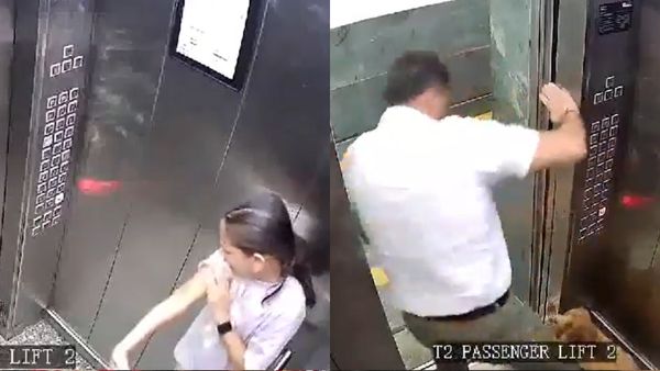 CCTV Viral Video Shows Dog Attacking A Girl In Lift In Noida