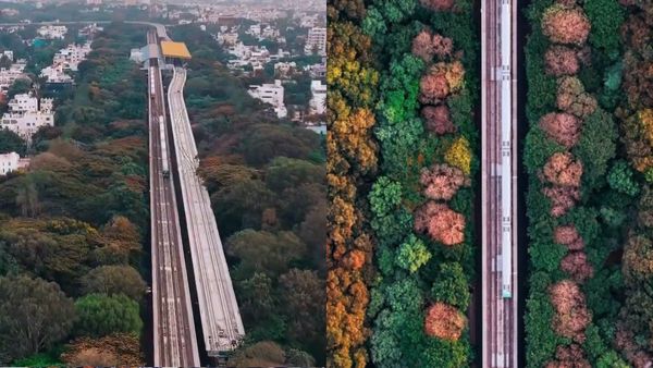 Bengaluru Namma Metro Goes Green: Planting 15,000 Trees To Combat Phase 2 Expansion