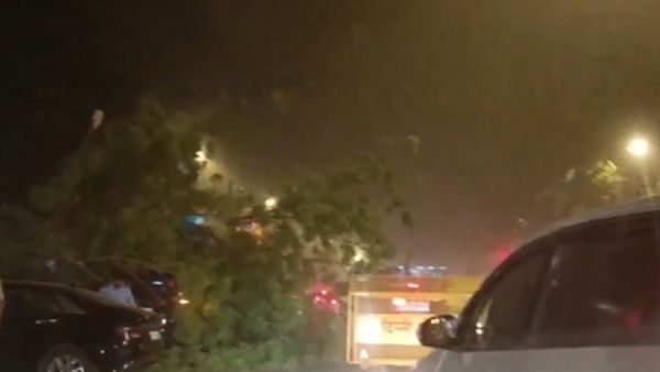 WATCH: Massive Duststorm Hits Delhi-NCR: Safety Measures Urged Amid Strong Winds