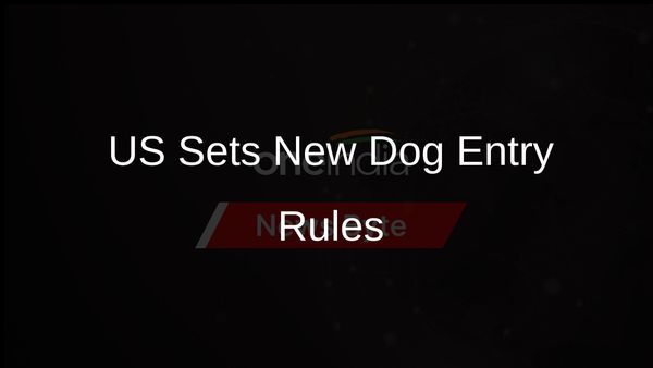 New US Rules: Dogs Entering Must Be Over 6 Months and Microchipped