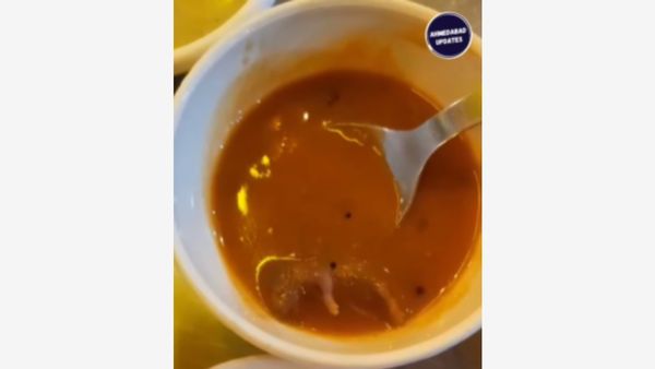 WATCH Video: Dead Rat Found In Sambar At Ahmedabad's Restaurant