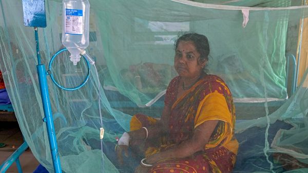 Bengaluru Dengue Alert: 1,246 Cases Reported In The First 20 Days Of This Month