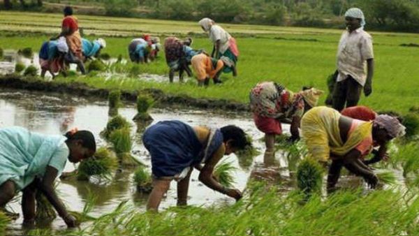 Maharashtra And World Bank Partner For Agricultural Resilience Through POCRA