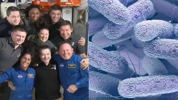 'Spacebug' Detected In ISS, Trouble For Crew Including Astronaut Sunita Williams