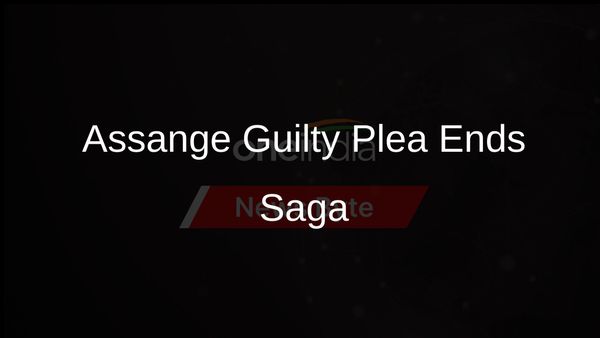 WikiLeaks' Julian Assange Ends Legal Saga with Guilty Plea in US