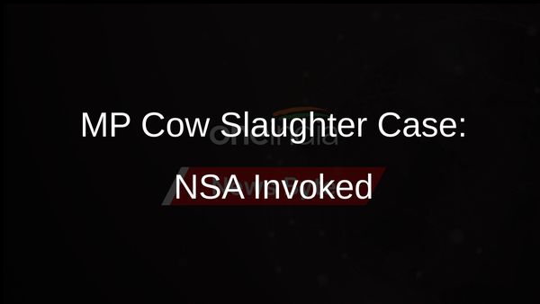 NSA Invoked Against Accused in MP Cow Slaughter Case; Officials Transferred