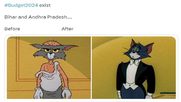 Budget 2024 Memes: Major Funding For Bihar And Andhra Pradesh Sparks Memes On Social Media | Top 8