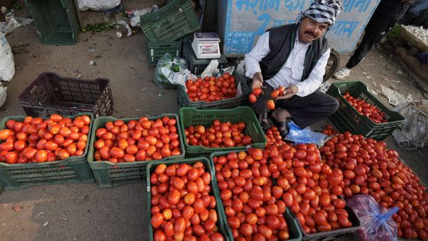 Delhi Tomato Prices Surge To ₹90/Kg Due To Monsoon Rains And Supply Shortages