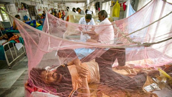 As Dengue Cases Up, Bengaluru Blood Banks See Surge In Platelets Requests