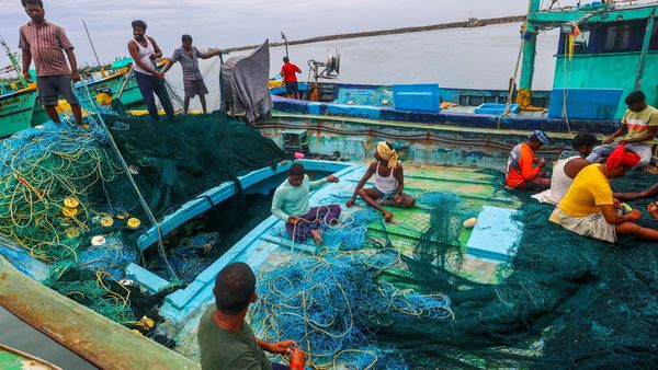 9 Indian Fishermen Arrested By Sri Lankan Navy; Tamil Nadu CM MK Stalin Seeks Help From Centre