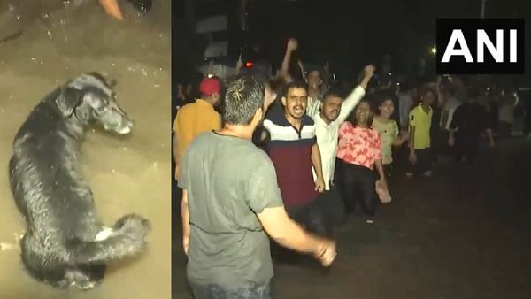 Delhi Rains: Waterlogging Continues At Delhi's UPSC Coaching Centre Location Where Three Lives Were Lost