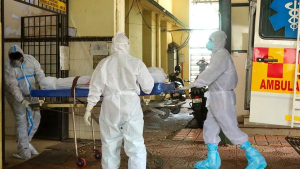 Nipah Virus Outbreak In Malappuram: Could Bat-Infested Wild Hog Plum Be the Cause Of Kerala Boy’s Death?