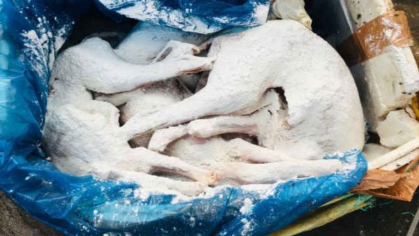 Dog Meat Or Mutton Sold In Bengaluru? Lab Report Confirms Identity Of Meat Seized At KSR Railway Station