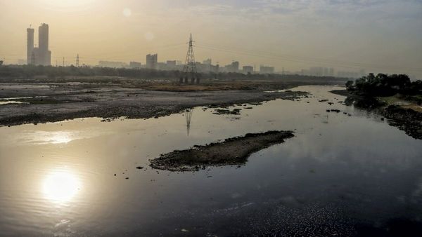 Is Haryana Responsible For Yamuna's Ammonia Spike? Delhi Points Fingers