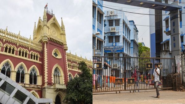 West Bengal RG Kar Medical College Rape-Murder Case: Calcutta HC Orders CBI Probe