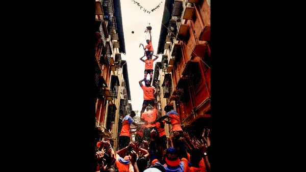 Over 100 Govindas Injured in Mumbai's Dahi Handi Festivities