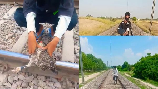 Gulzar Sheikh's Railway Track Stunts: YouTuber Arrested For Hazardous Videos