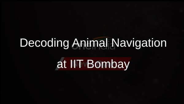 IIT Bombay Researchers Use Robots to Decode How Animals Navigate Home