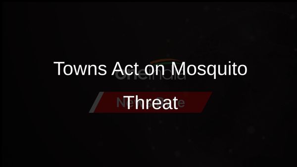 Massachusetts Responds to Rare Mosquito Virus with Increased Precautions