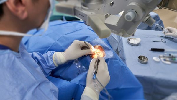 Why Are Medical Students At Risk? National Medical Commission Report Reveals Startling Statistics