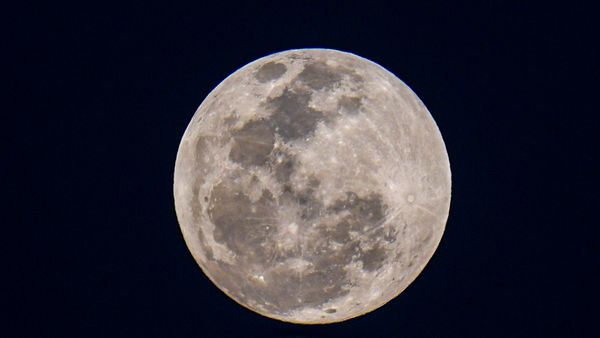 A Moon Sanctuary: Protecting Earth's Endangered Species