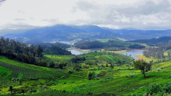 Will It Rains In Ooty & Kodaikanal Over The Weekend? Check Weather Report