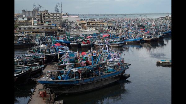 Pakistani Security Forces Kill 37 Militants in Northwest Hideout Raids