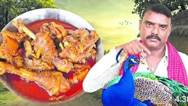 Peacock Curry Video: Telangana YouTuber Faces Legal Trouble Over Recipe Video