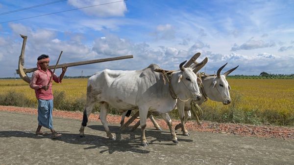 India May Take 75 Years To Match Quarter Of US' Per Capita Income: World Bank