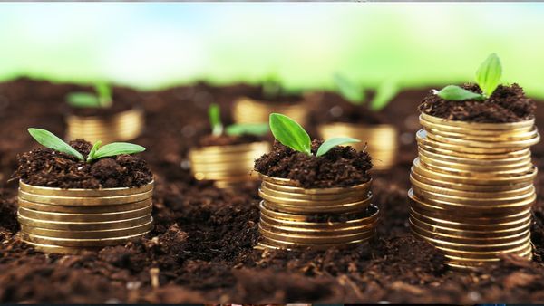 Calculators and SIP: Streamlining Your Investment Decision-Making Process
