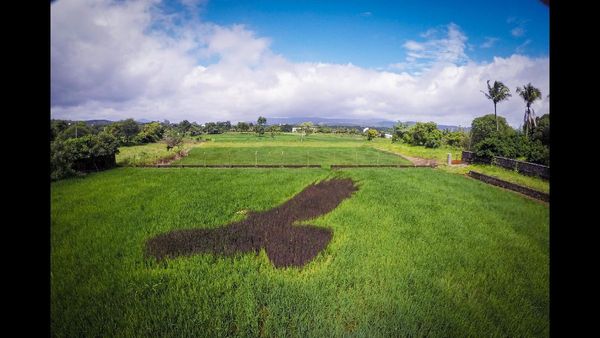 Fresh ESA Draft Issued for Western Ghats Post Kerala Landslide Tragedy