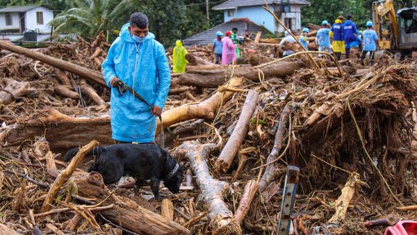 Wayanad Landslide Survivors Allege Their Abandoned Homes Being Looted