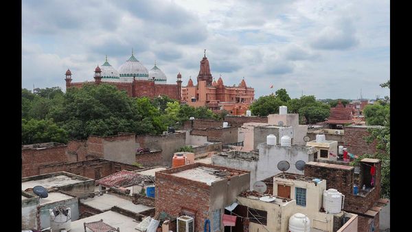 High Court Seeks Details on UP Cow Shelters' Management and Fodder