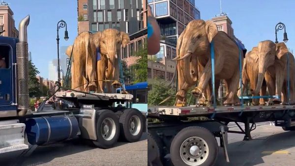 From Nilgiris To New York: Tamil Nadu Artisans Craft 100 Life-Size Elephant Sculptures To Promote Coexistence