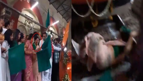 BJP MLA Falls On Tracks While Flagging Off Vande Bharat Train | Watch Video