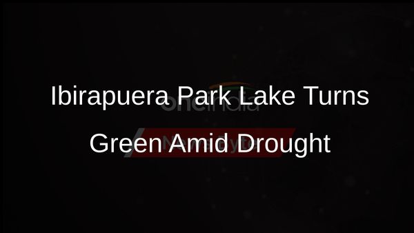 Ibirapuera Park Lake in Sao Paulo Turns Bright Green Due to Drought and Algal Blooms
