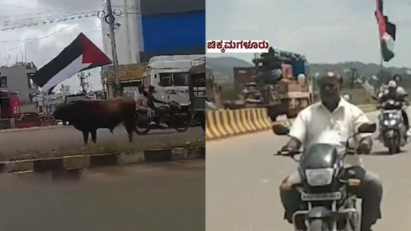 4 Minors Detained For Waving Palestinian Flag On Chikkamagaluru Streets