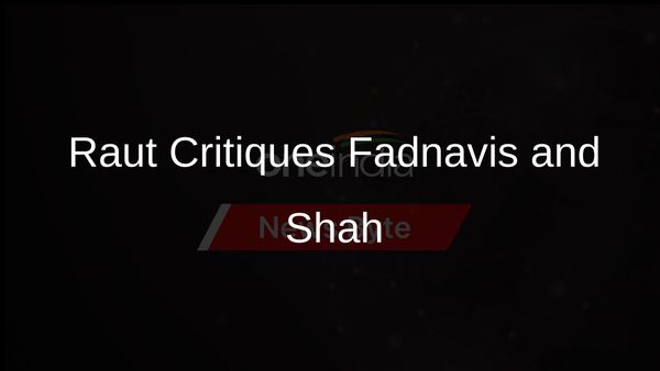 Raut Says Fadnavis Can't Decipher Pawar's Mind, Critiques Shah; BJP Responds