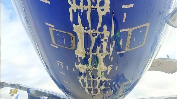 IndiGo Flight Tailstrike: Plane Returns To Airport After Major Incident