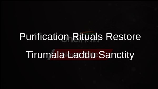 Tirumala Devotees Can Now Enjoy Laddus After Successful Purification Rituals