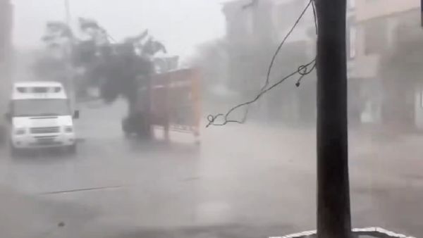 Super Typhoon Yagi Devastates China's Hainan: 4 Dead, 95 Injured - Watch Videos