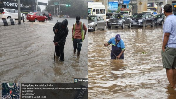 Bengaluru Traffic Advisory: Find Out Which Areas Are Affected And Roads Closed
