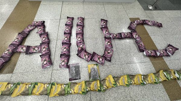 Hydrophobic Weed Worth Rs 15 Crore Seized At Delhi Airport