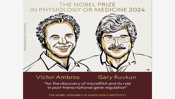 Nobel Prize 2024 In Medicine Awarded To Victor Ambros, Gary Ruvkun For Discovering miRNA