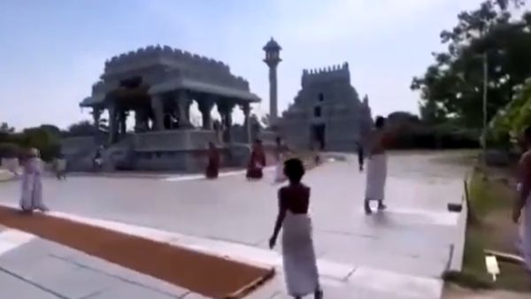 Fact Check: Did Priests Play Cricket Inside Chidambaram Temple In Tamil Nadu? Truth Behind Viral Video