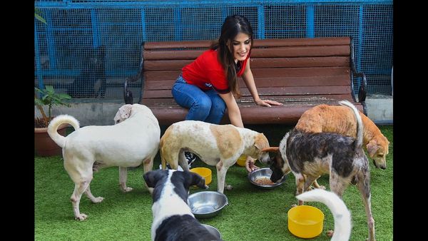 Delhi Police Investigates Rs 500-Crore App-Based Fraud Involving Rhea Chakraborty and Bharti Singh