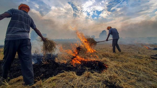 Supreme Court Reprimands Centre, Haryana, Punjab Govts For Delhi Air Pollution