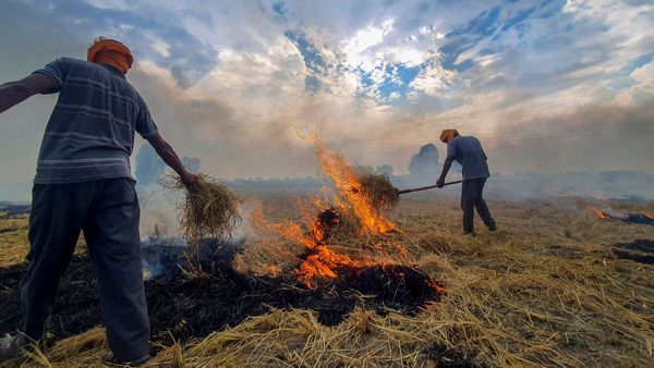 Haryana Sees Surge In Farm Fires: 468 Incidents Recorded In Just One Month