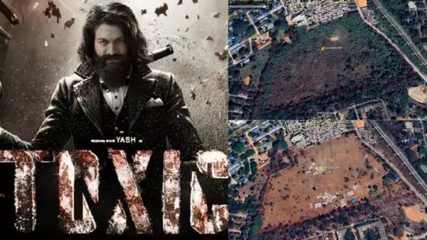 Were Hundreds of Trees Cut Down in Bengaluru's HMT Layout for Yash's Movie Toxic?